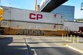 DSC_5219