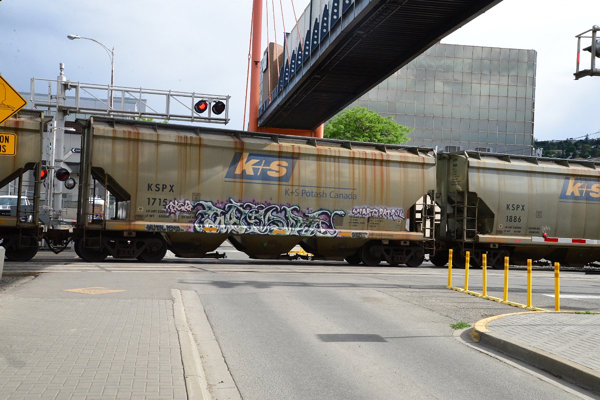 DSC_5435.JPG