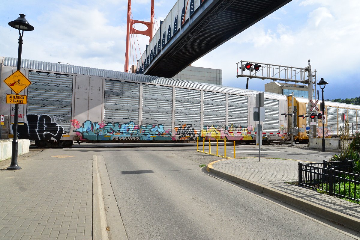 DSC_5567.JPG