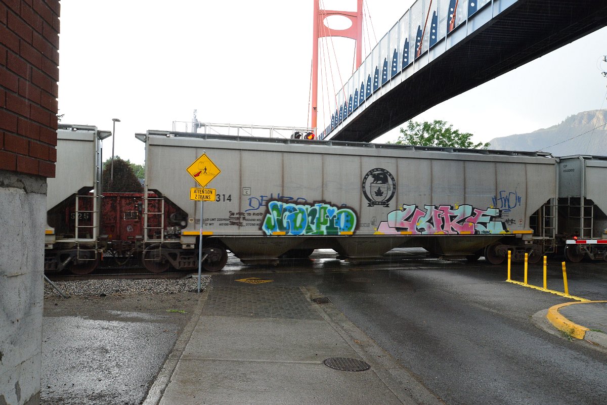 DSC_5652.JPG