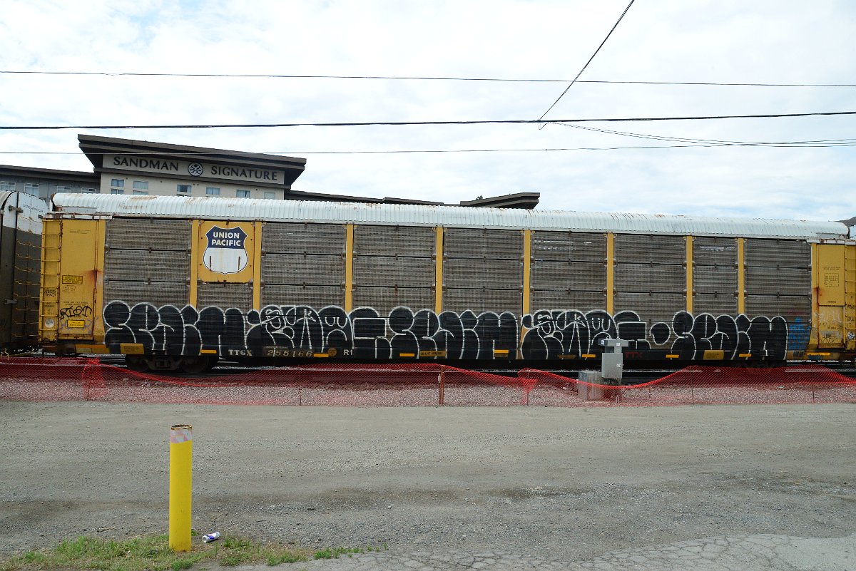 DSC_5772.JPG