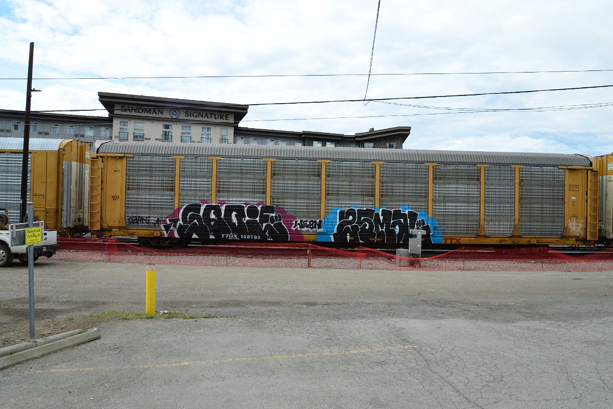DSC_5785.JPG