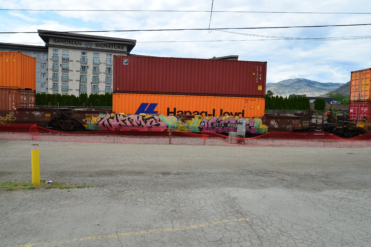 DSC_5908.JPG