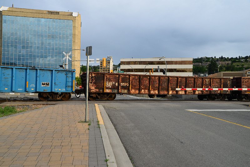 DSC_0980.JPG