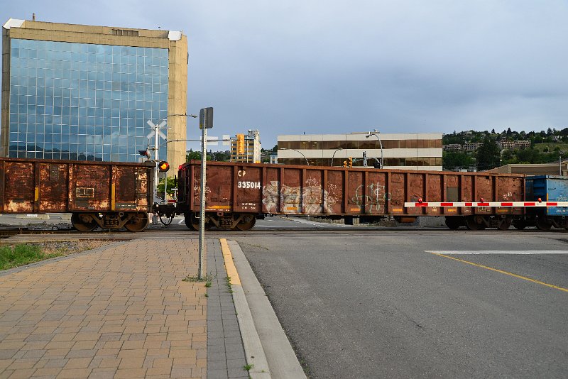 DSC_0981.JPG