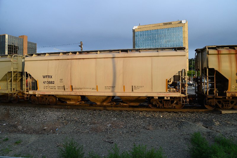 DSC_1009.JPG