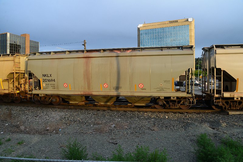 DSC_1010.JPG