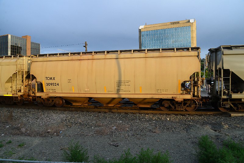 DSC_1011.JPG