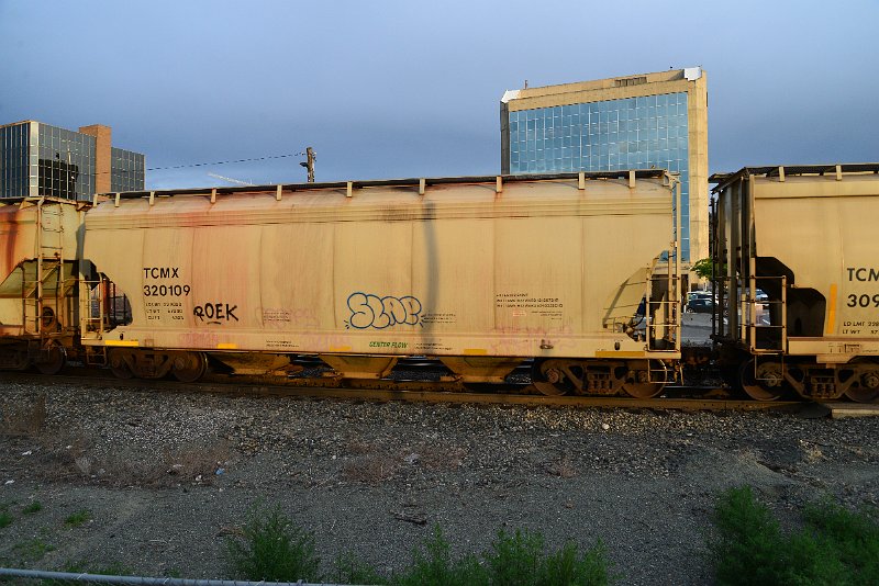 DSC_1012.JPG