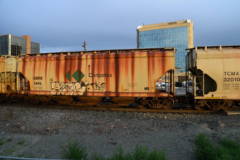 DSC_1013.JPG