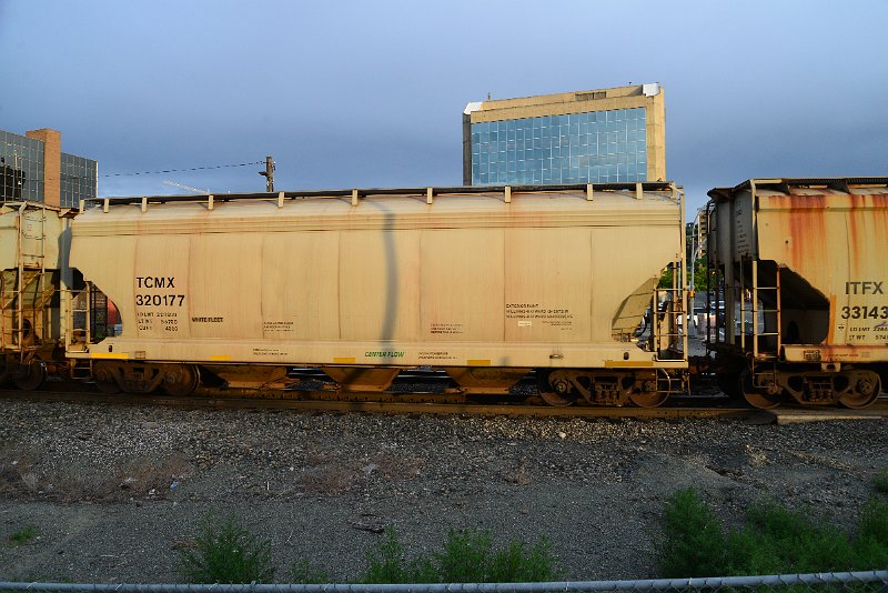 DSC_1017.JPG