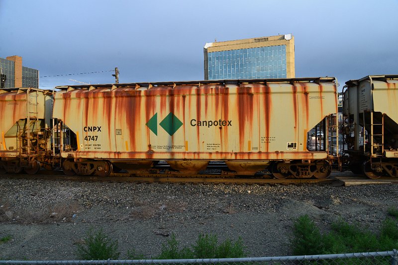 DSC_1019.JPG