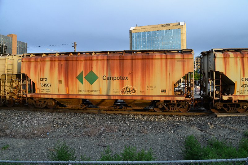 DSC_1020.JPG