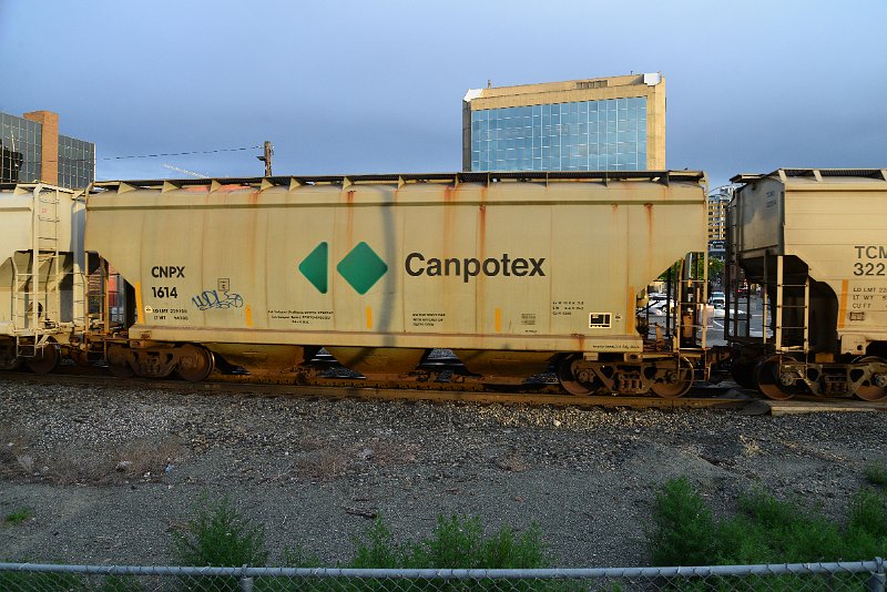 DSC_1022.JPG