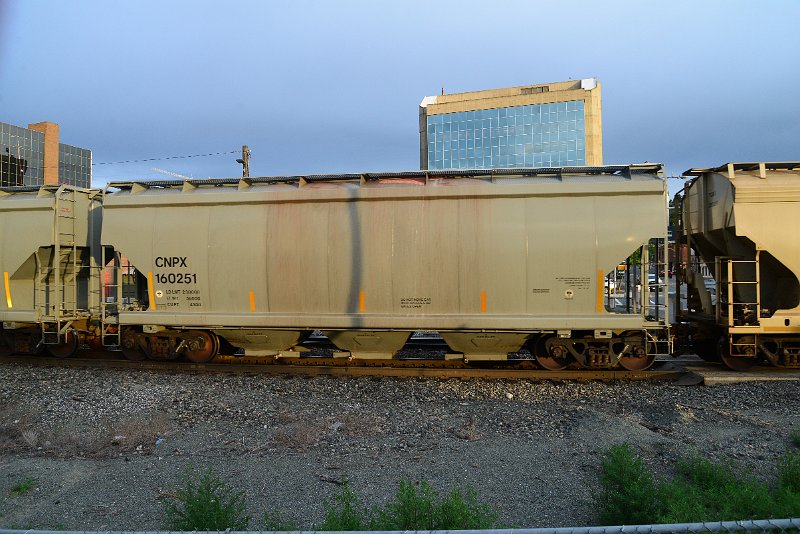 DSC_1033.JPG