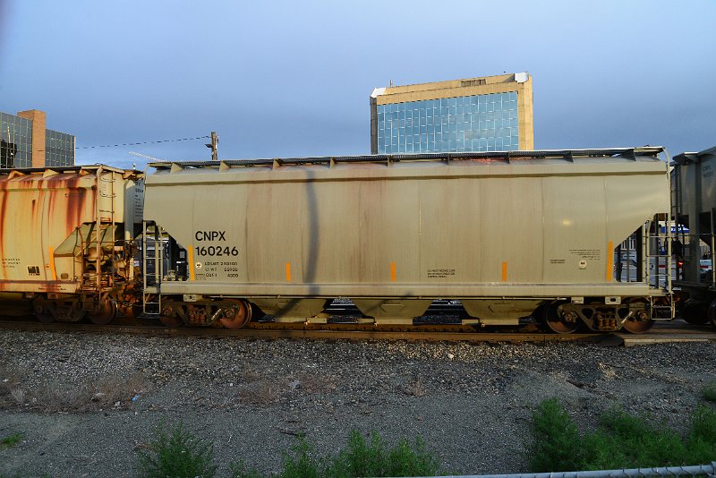 DSC_1034.JPG