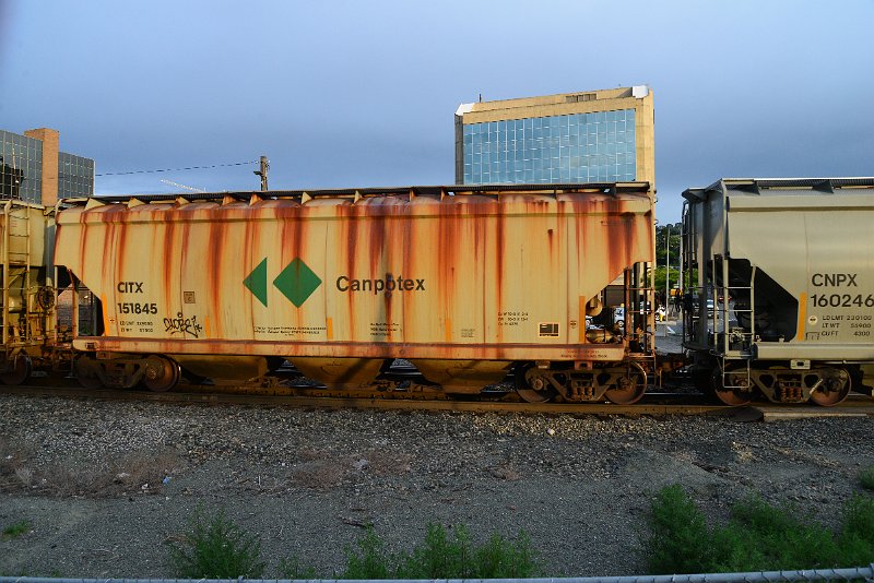 DSC_1035.JPG