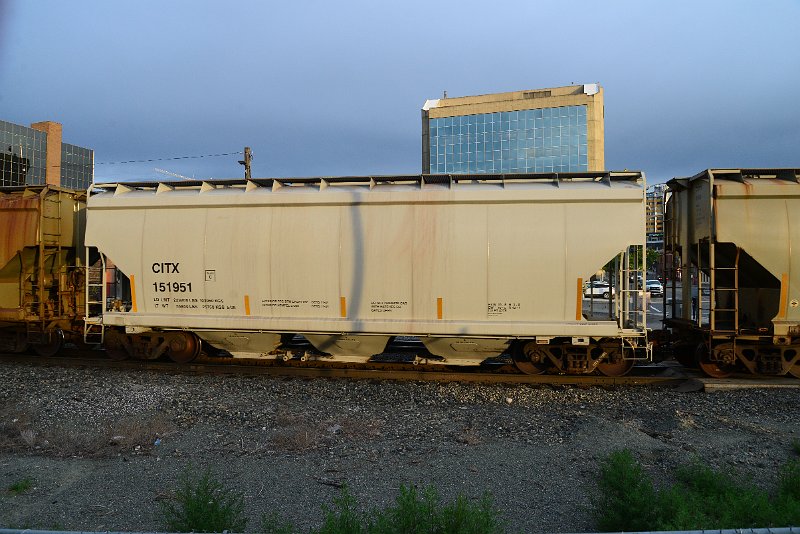 DSC_1037.JPG