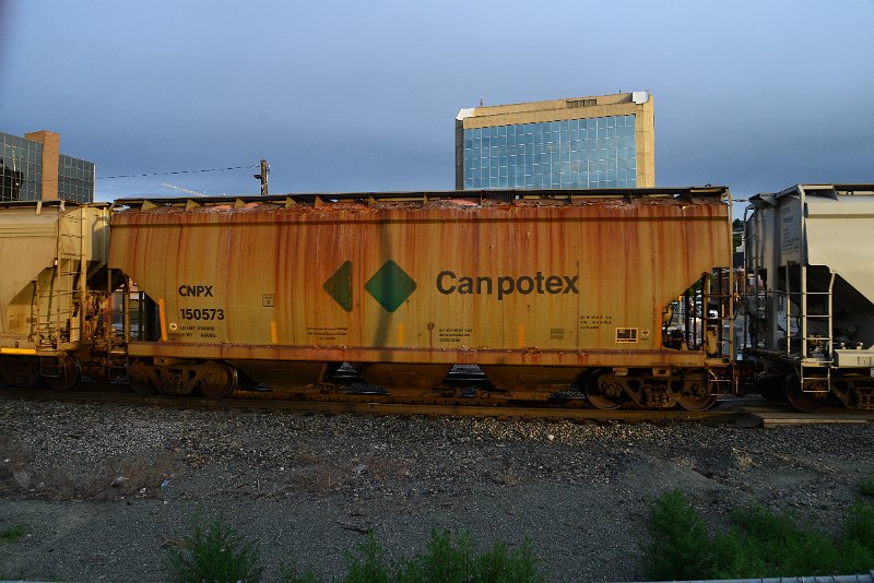 DSC_1038.JPG
