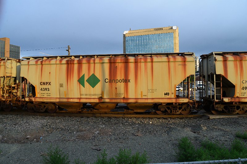DSC_1041.JPG