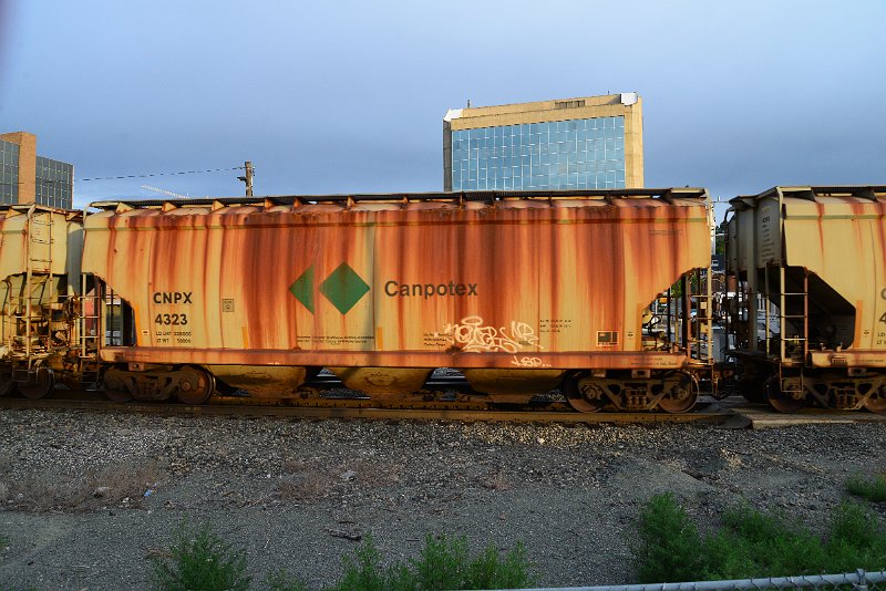 DSC_1042.JPG