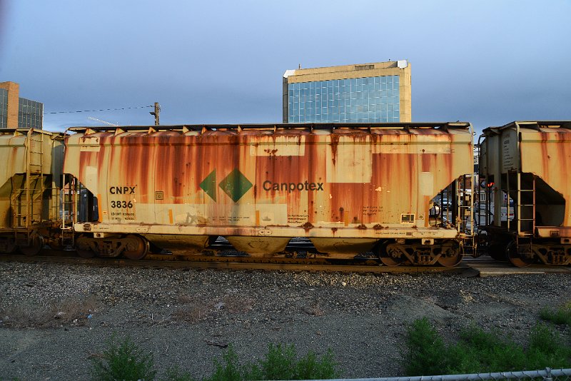 DSC_1043.JPG