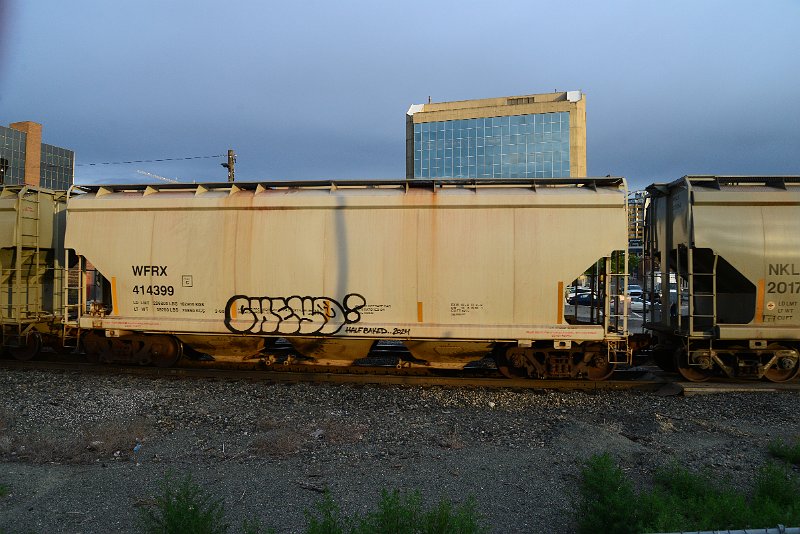 DSC_1046.JPG