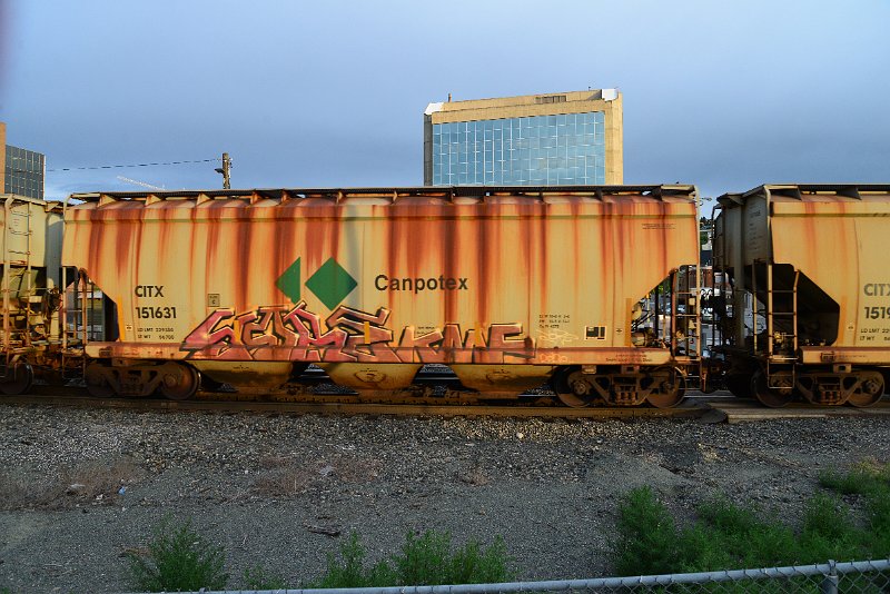 DSC_1055.JPG