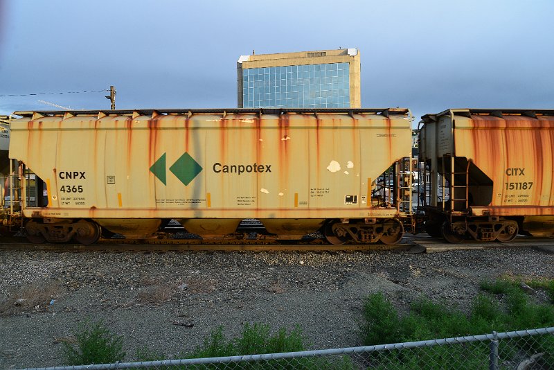 DSC_1059.JPG