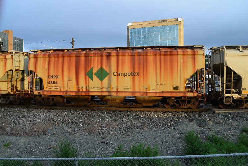 DSC_1061.JPG