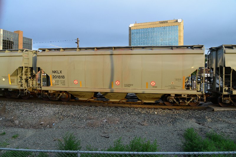 DSC_1065.JPG