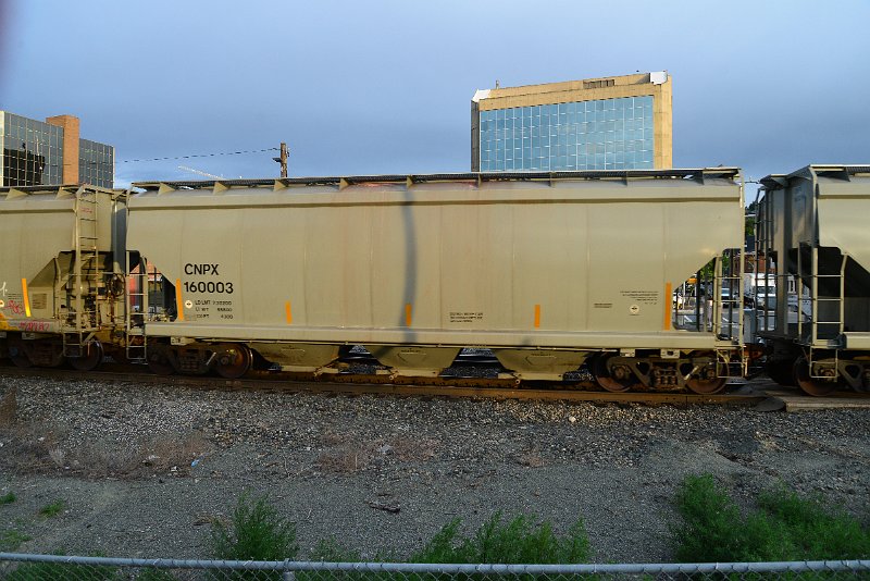 DSC_1067.JPG