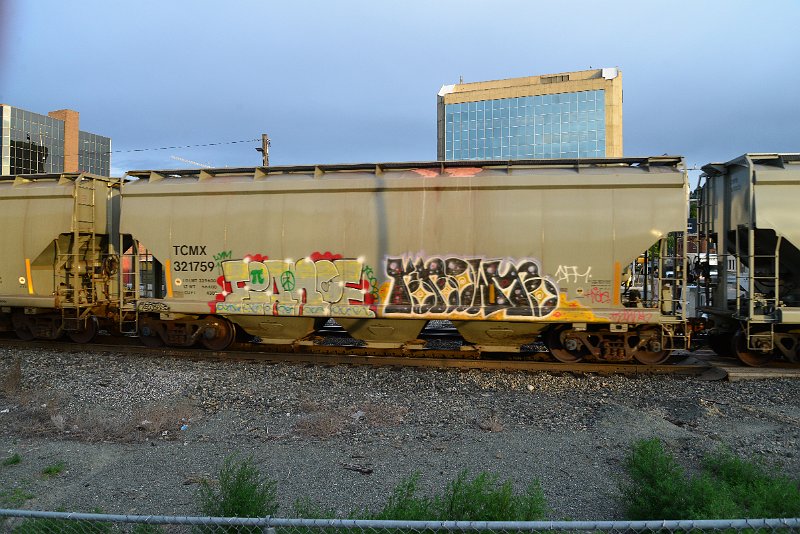 DSC_1068.JPG
