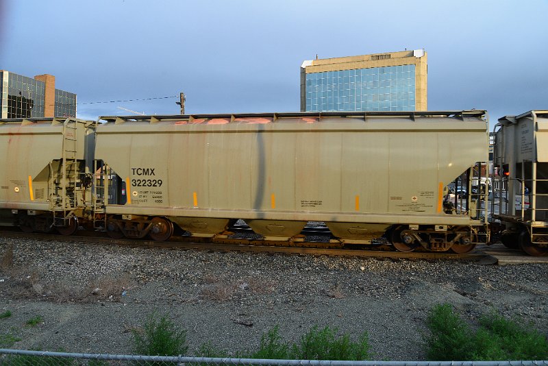 DSC_1073.JPG