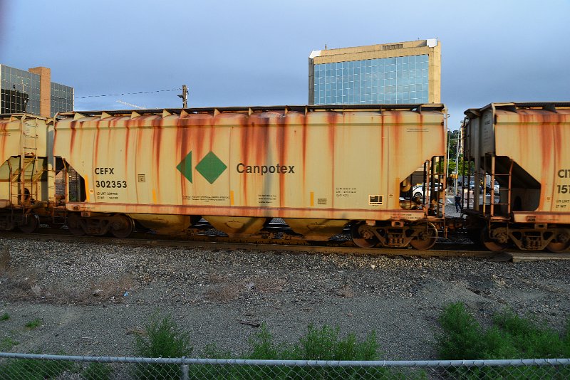 DSC_1080.JPG