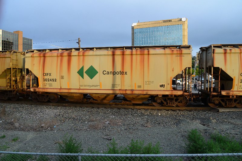 DSC_1081.JPG