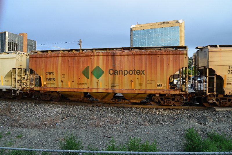 DSC_1084.JPG