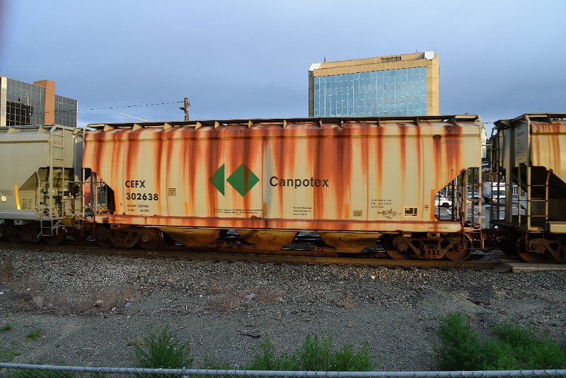 DSC_1091.JPG