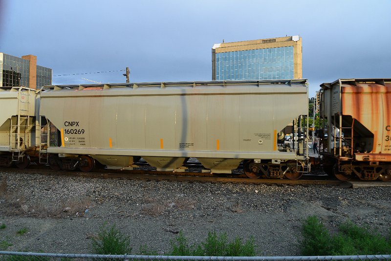 DSC_1092.JPG