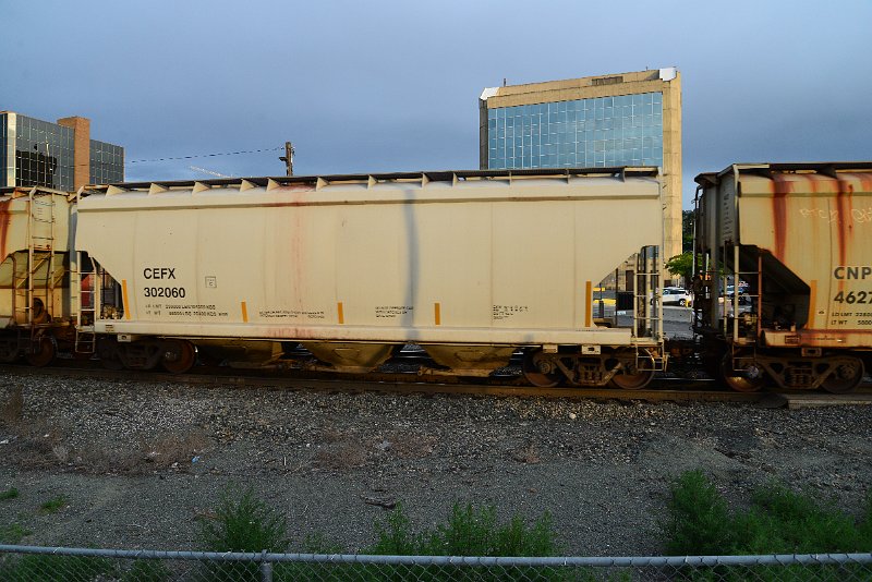 DSC_1099.JPG