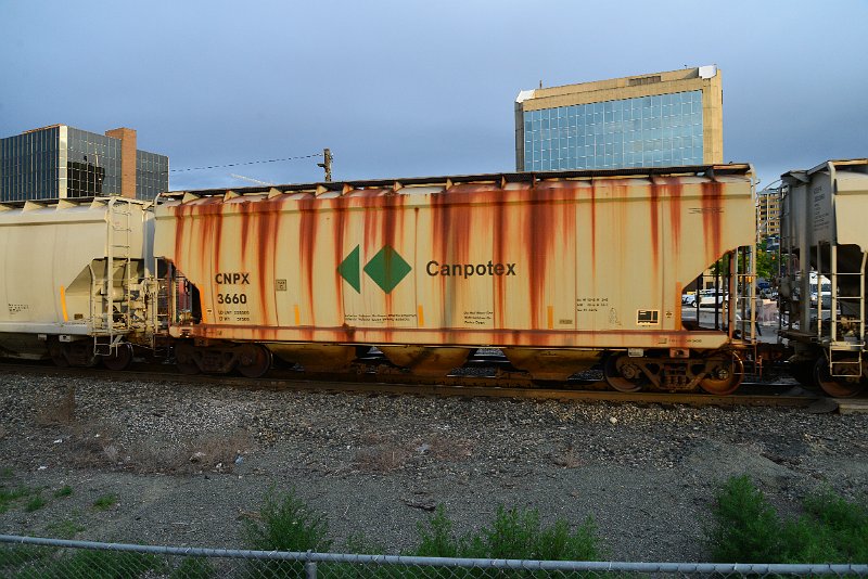 DSC_1100.JPG