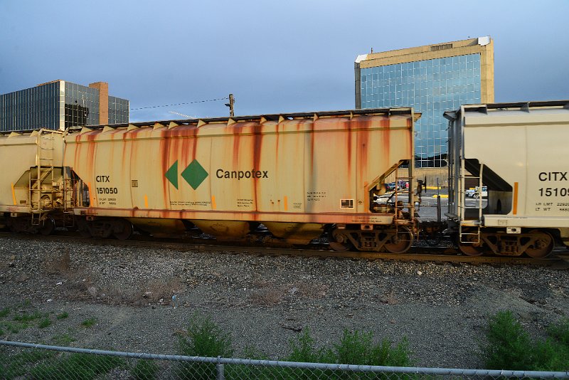 DSC_1102.JPG