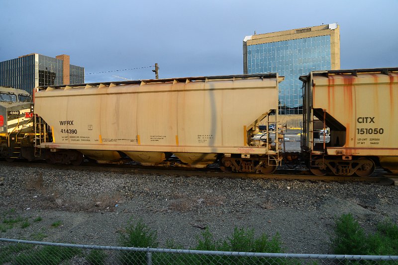 DSC_1103.JPG