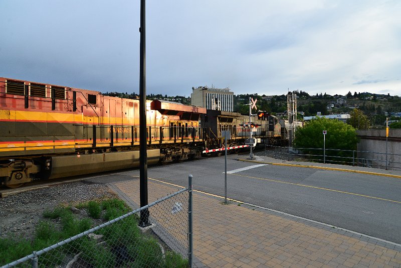 DSC_1106.JPG