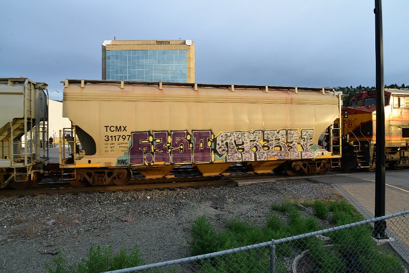 DSC_1107.JPG