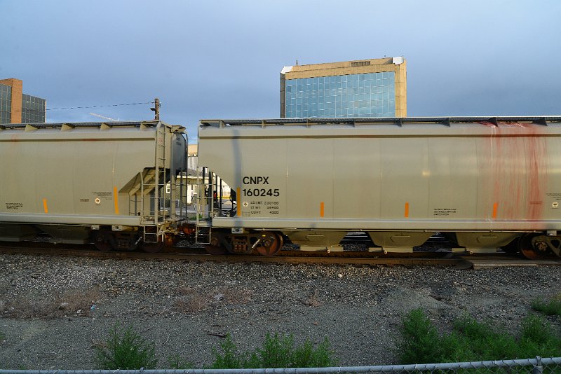 DSC_1110.JPG