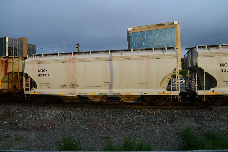 DSC_1113.JPG