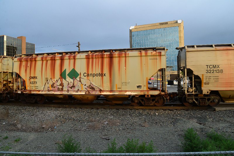 DSC_1130.JPG