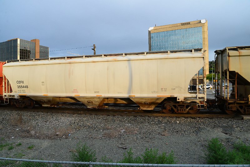 DSC_1135.JPG