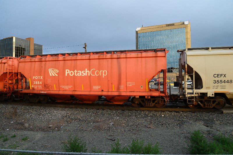 DSC_1136.JPG
